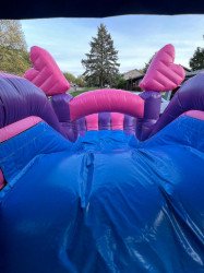 top20of20slide20unicorn 1714962674 Unicorn Combo Bounce House- Dry